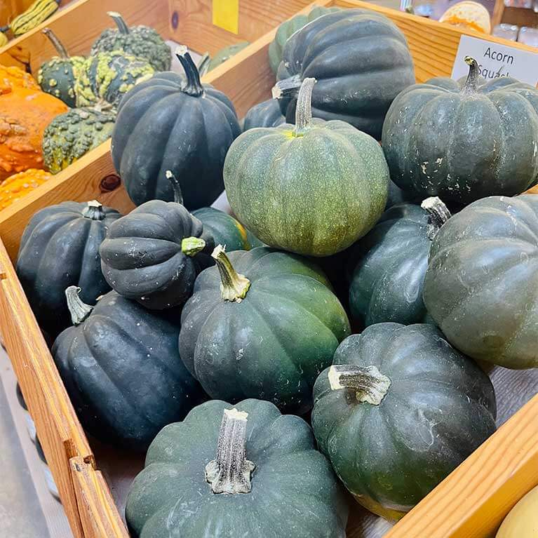 767x767-AcornSquash
