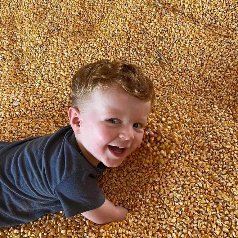 CornBin